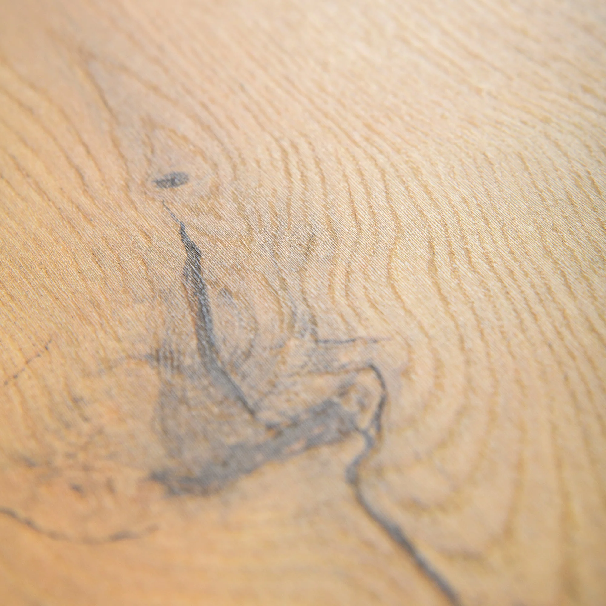 Gyant Warm Natural - Ocean Water Resistant 8mm Laminate Flooring (B4124) - Image 3