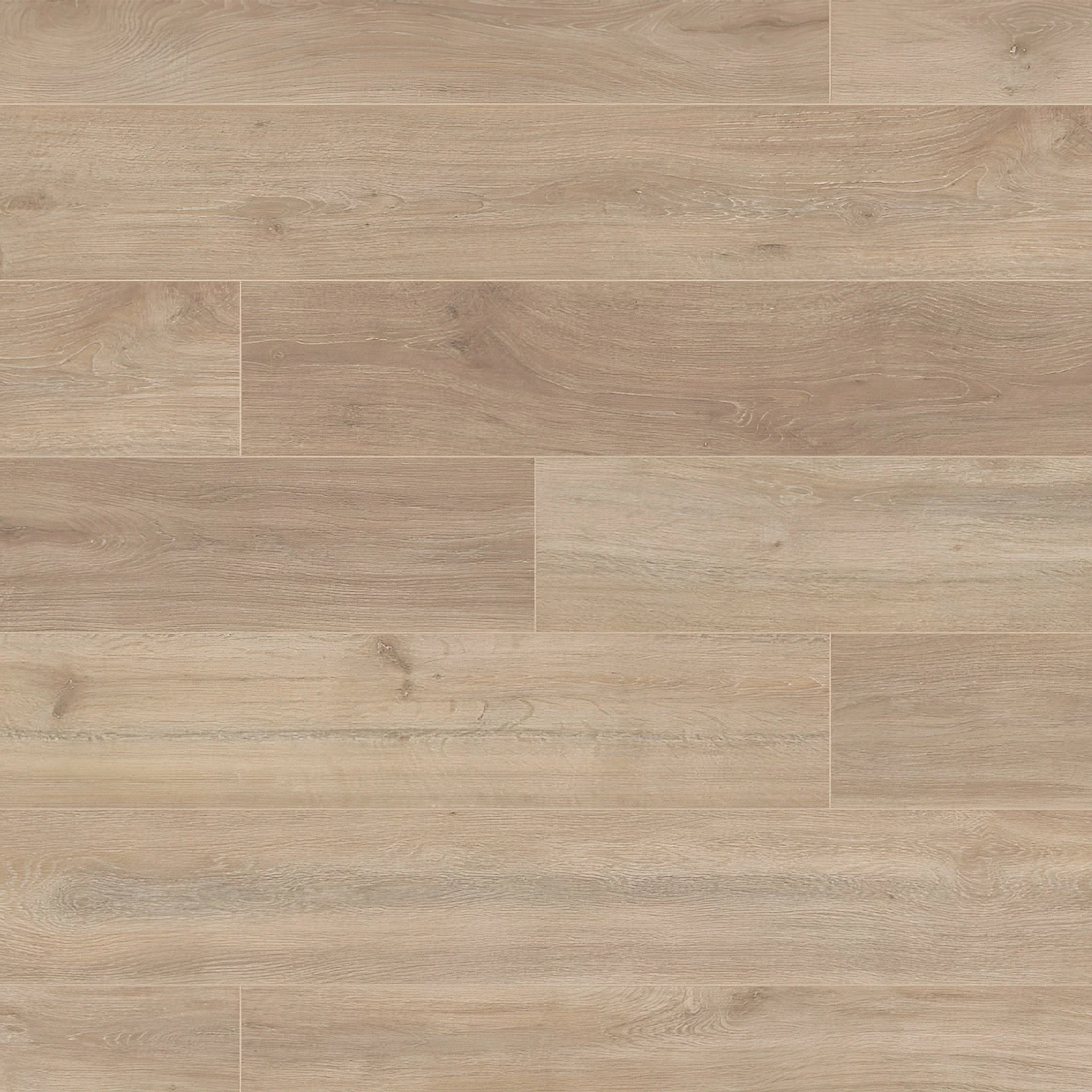 Khaki Oak - Supernatural Classic 8mm Embossed Laminate Flooring (122555) - Image 2