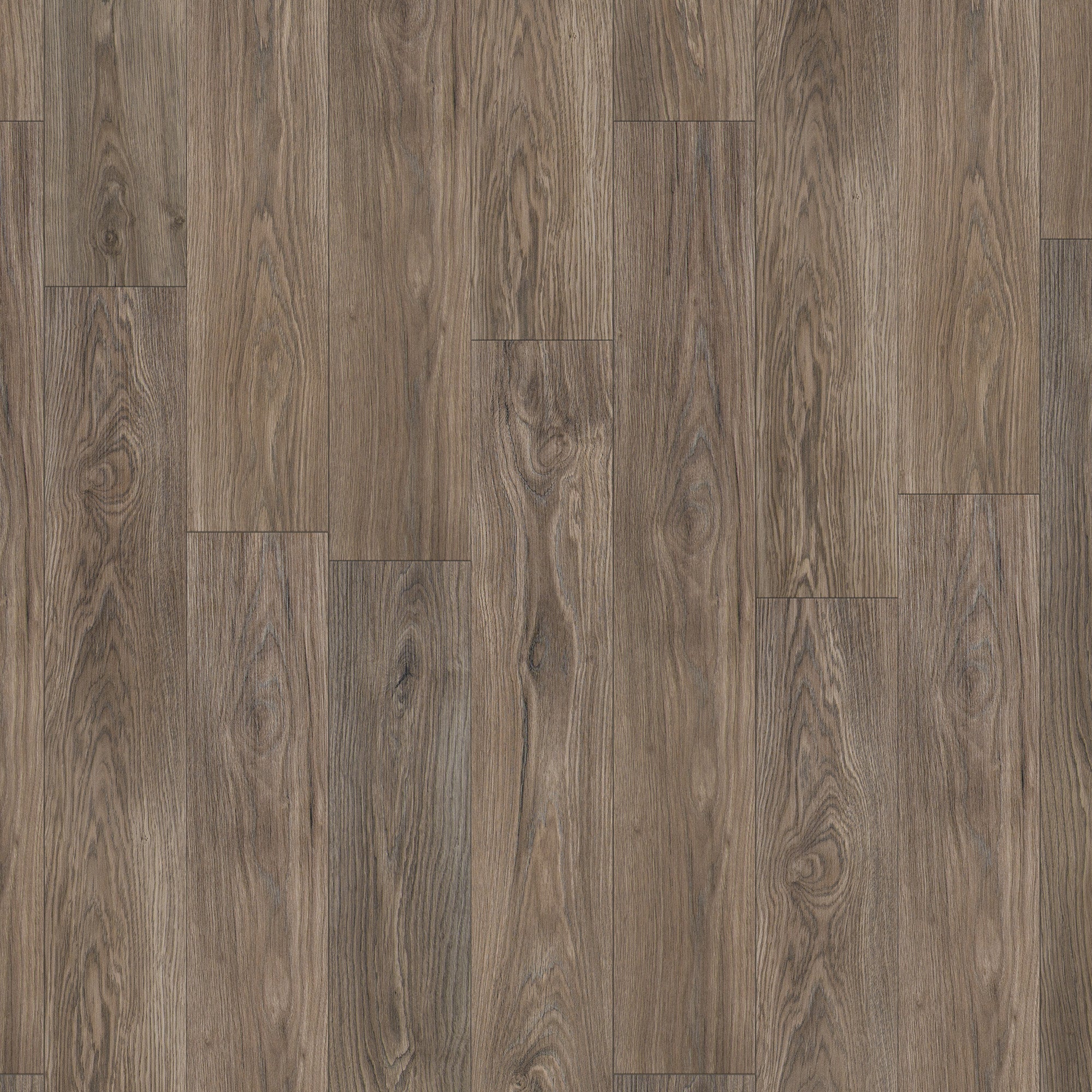 Twilight Oak - Supernatural Classic 8mm Embossed Laminate Flooring (344923) - Image 2