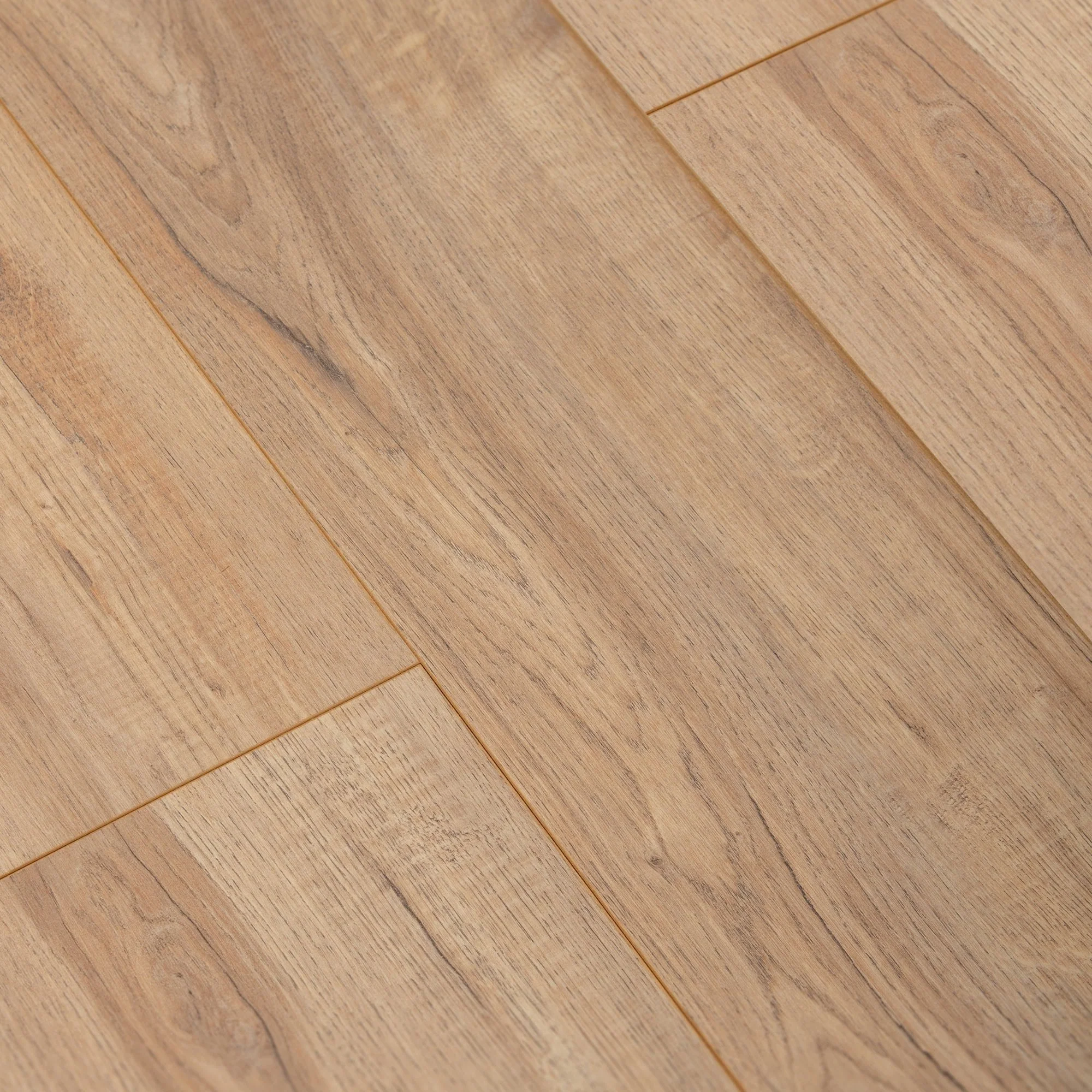 Montmelo Nature Oak - Exquisite Plus 8mm Laminate Flooring (54197) - Image 5