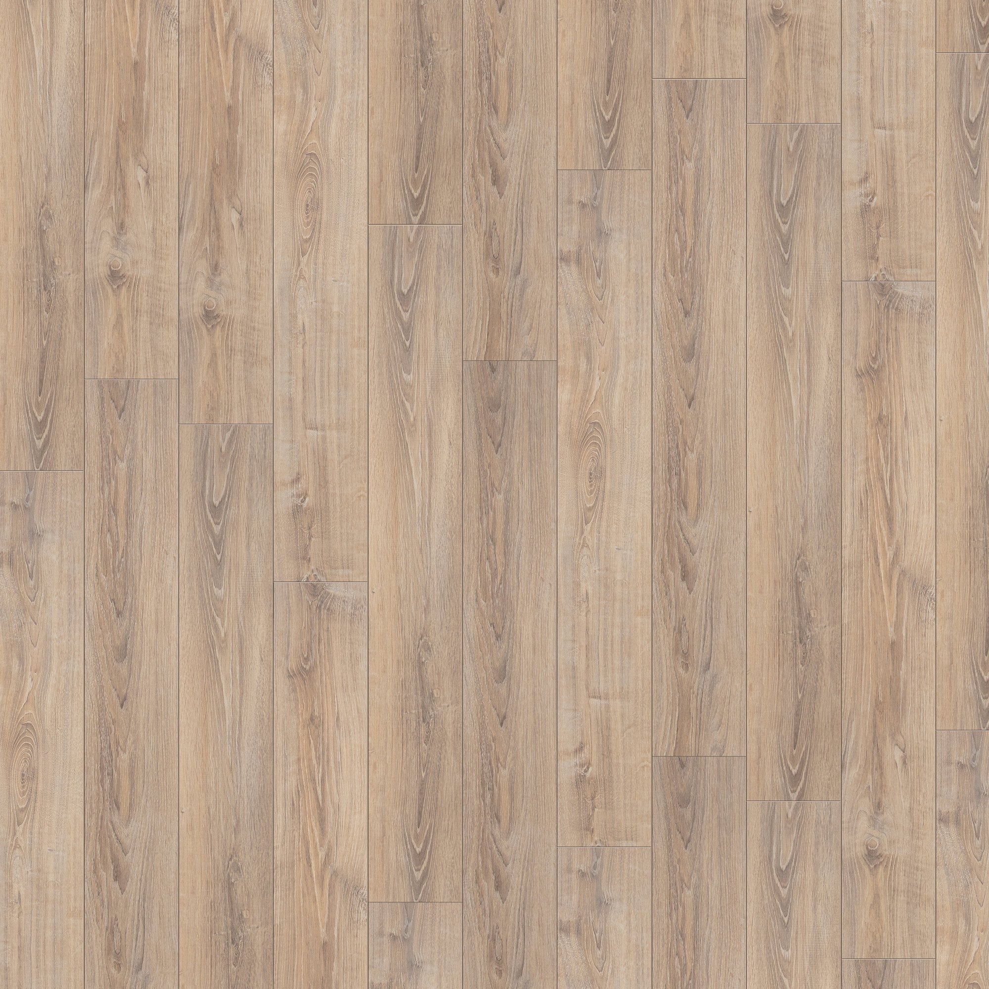 Whitewashed Oak - Exquisite 8mm Laminate Flooring (54182) - Image 2