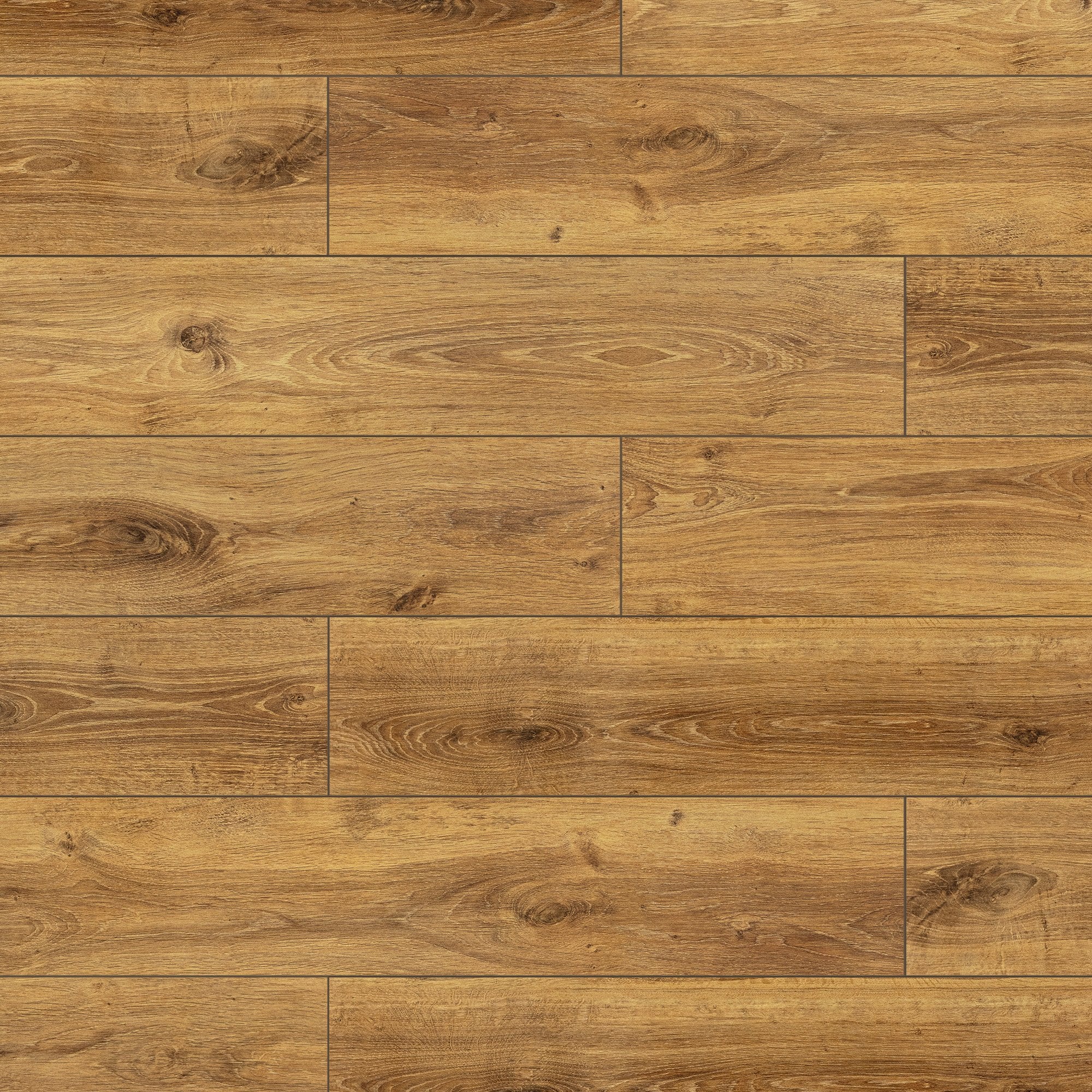 Hamsterley Oak - Lustre 8mm High Gloss Laminate Flooring - Image 3