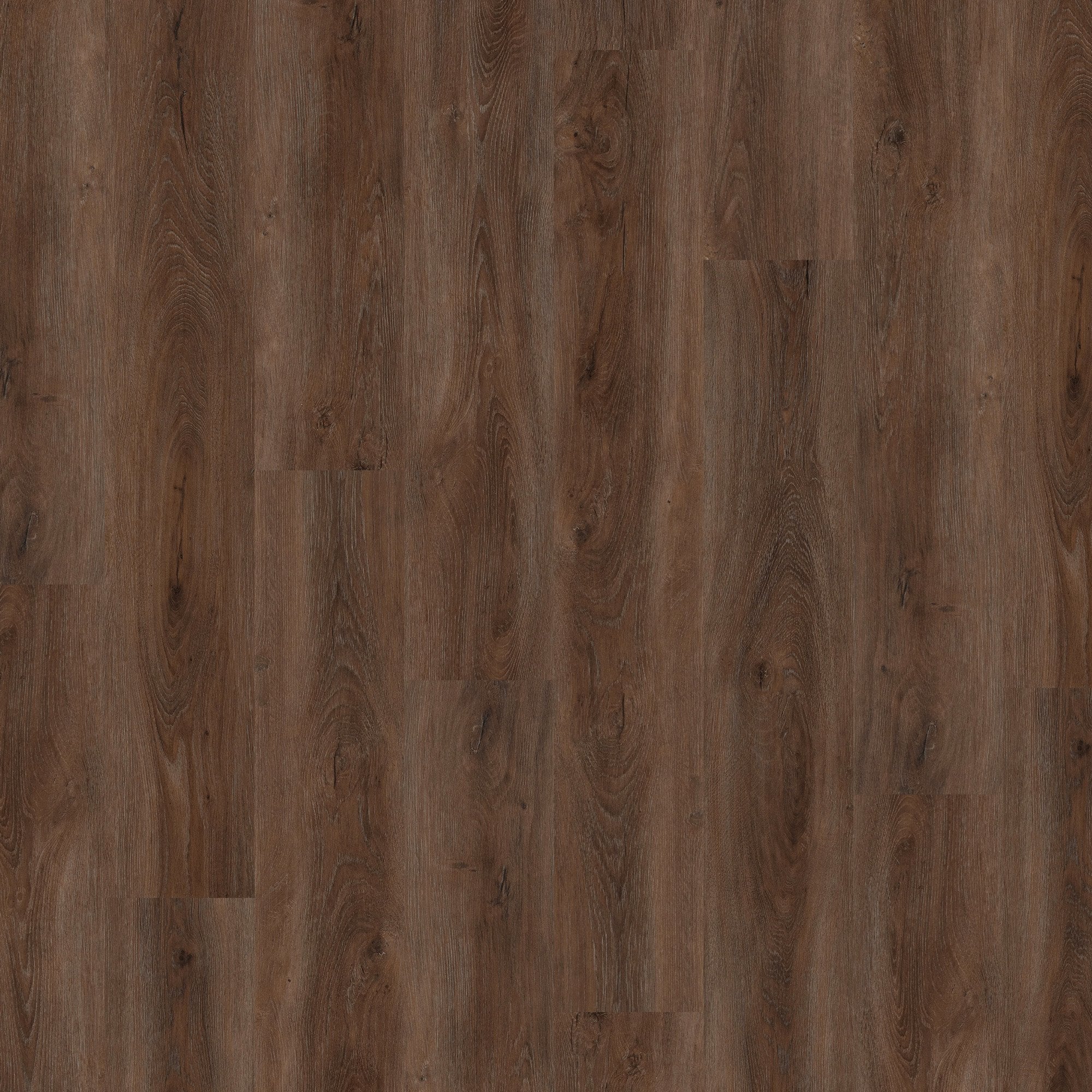 Signature Dark Oak - Impressive 6mm Sample (SPC-IMP-007) - Image 2