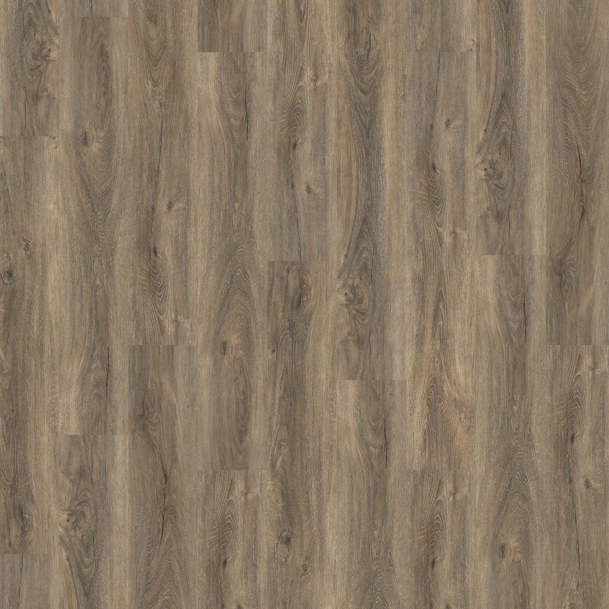 Signature Oak - Impressive 6mm Sample (SPC-IMP-005) - Image 2