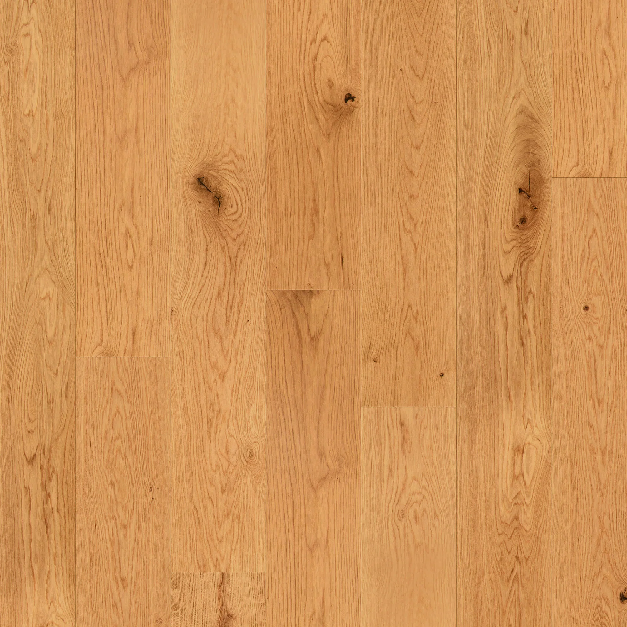 Natural Oak - 14mm UV Lacquered Engineered Real Wood Flooring - Image 2