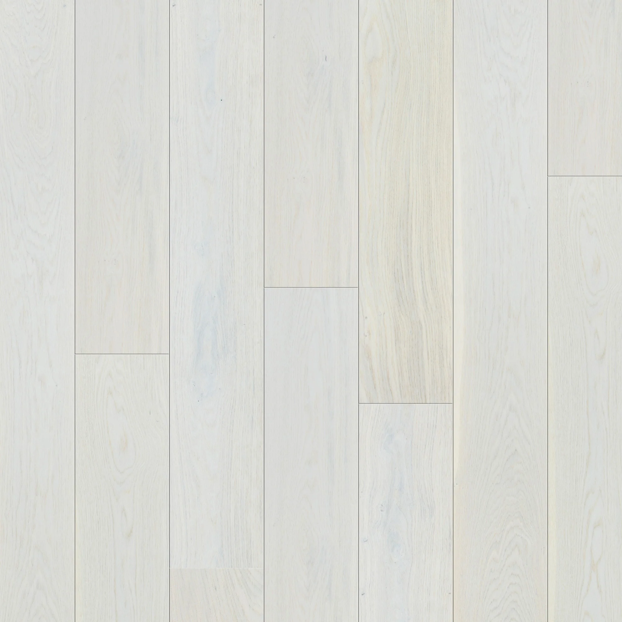 Ivory Oak - 14mm UV Lacquered Engineered Real Wood Flooring - Image 2