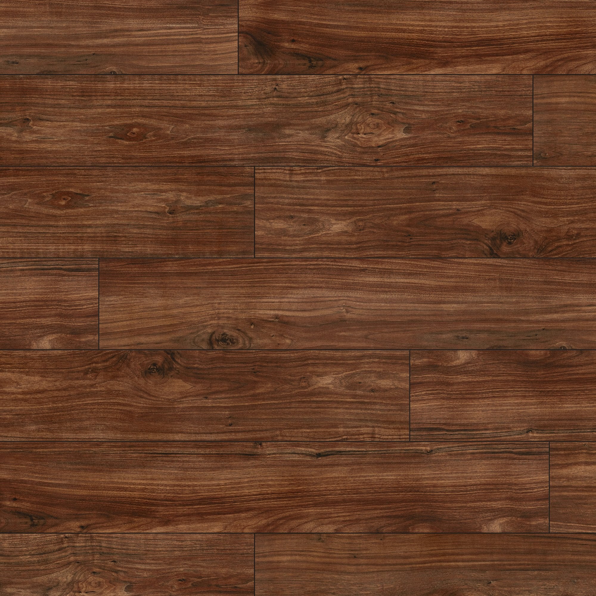 Walnut - Lustre 8mm High Gloss Laminate Flooring - Image 3